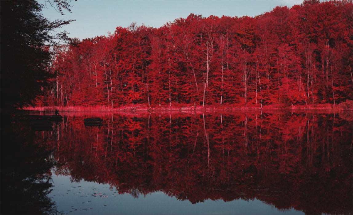 অগ্রিম সতর্কবার্তা: তাপপ্রবাহের সময় (তীব্র তাপদাহে) মৎস্য ও চিংড়িচাষ ব্যবস্থাপনা